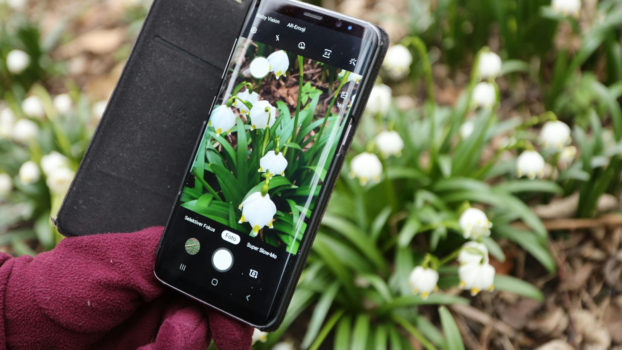 ARCHIV - 04.03.2022, Sachsen-Anhalt, Ballenstedt: Wanderer fotografieren Märzenbecher im Naturschutzgebiet ·Gegensteine-Schierberge· bei Ballenstedt im Harz.
E
