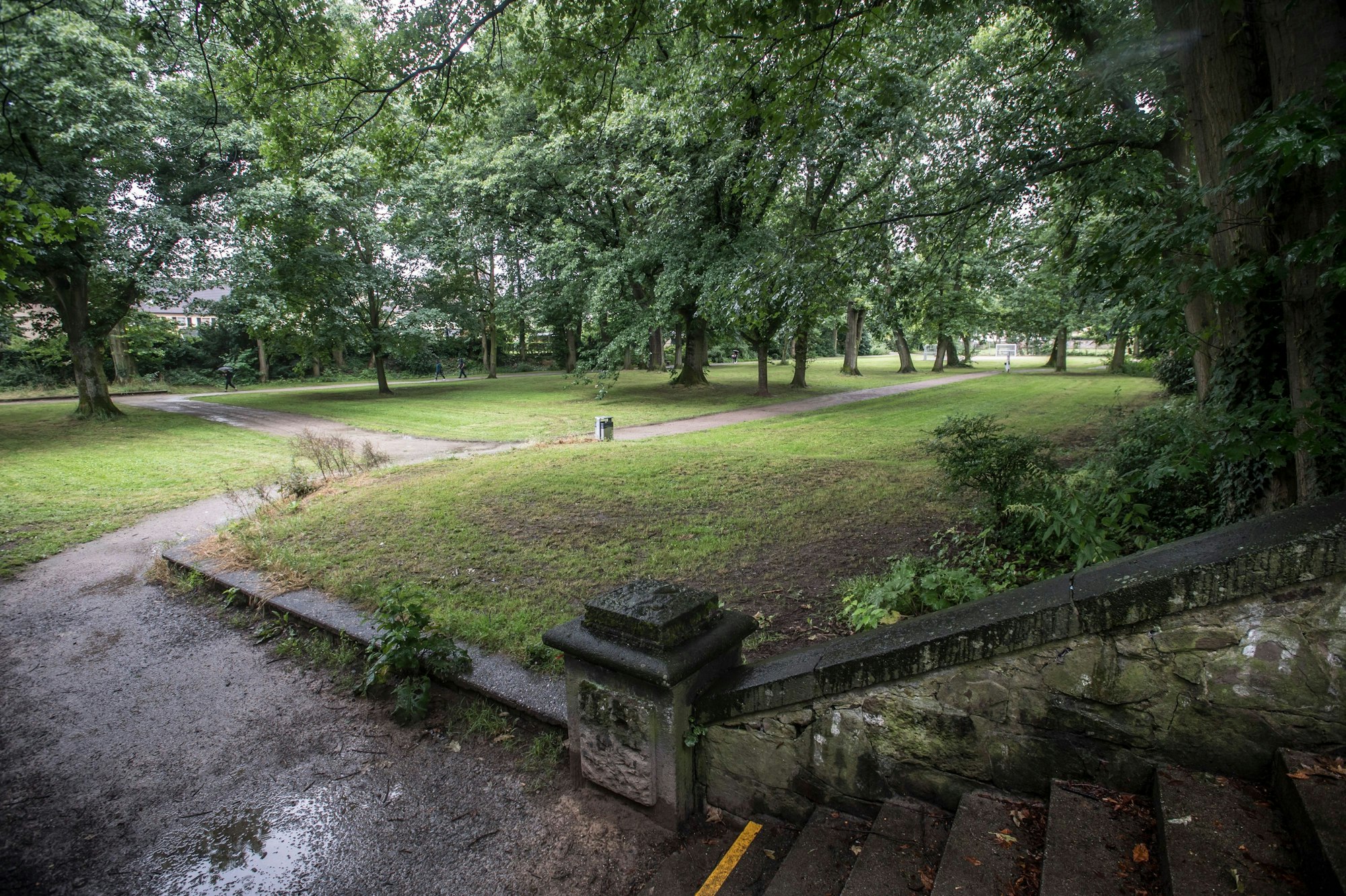 Der Hindenburgpark mit einem alten Eichenbestand ist eine der "grünen Lungen" in der Leverkusener Innenstadt. Foto: Ralf Krieger
