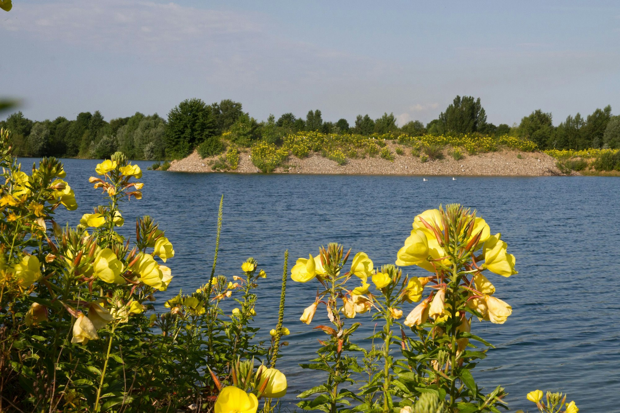 Der Buschbergsee Foto: Kochanek