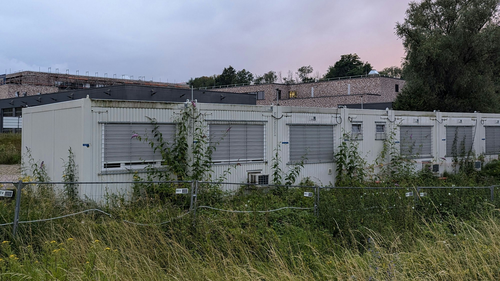 Das Foto zeigt Baucontainer auf einem verwilderten Grundstück vor der Baustelle der Feuerwache in Hermülheim.