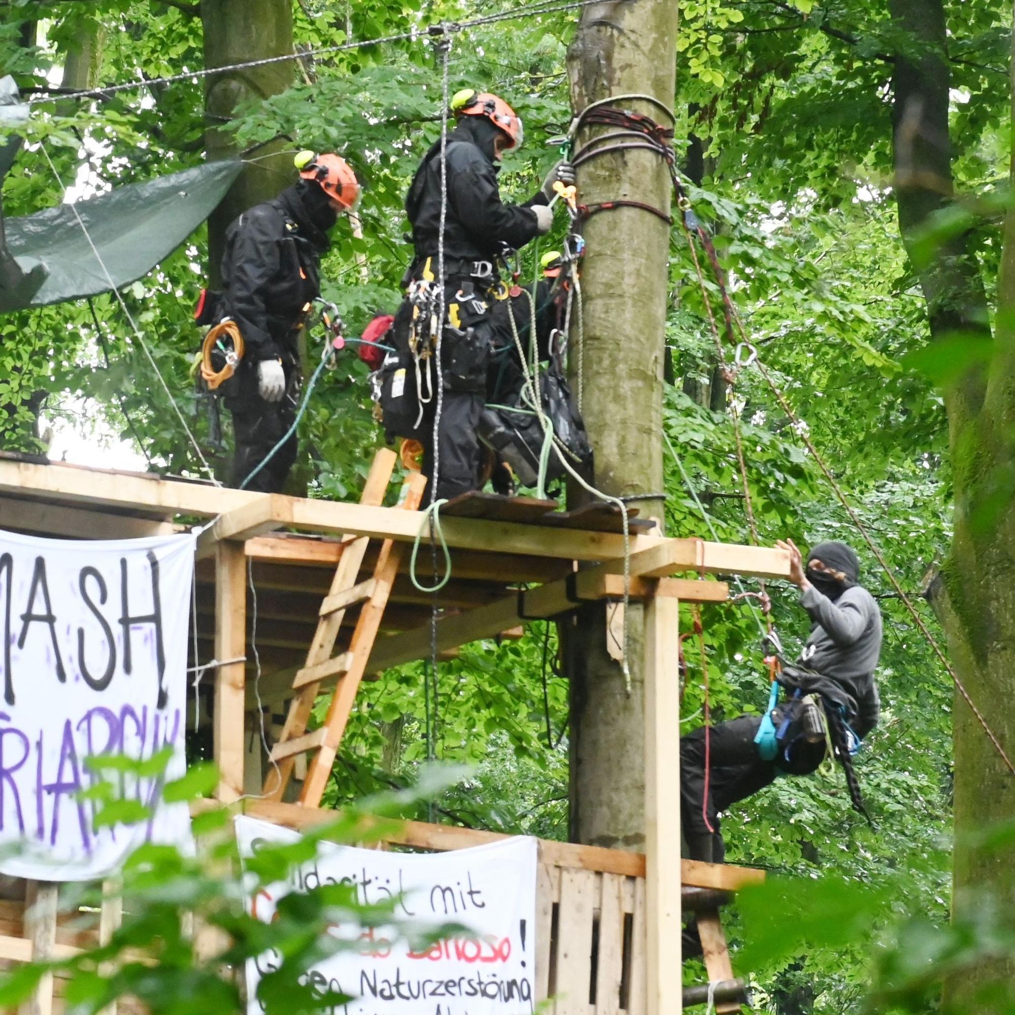 Unter den Augen der Polizei verlassen die Besetzer ihr selbst gezimmertes Baumhaus.