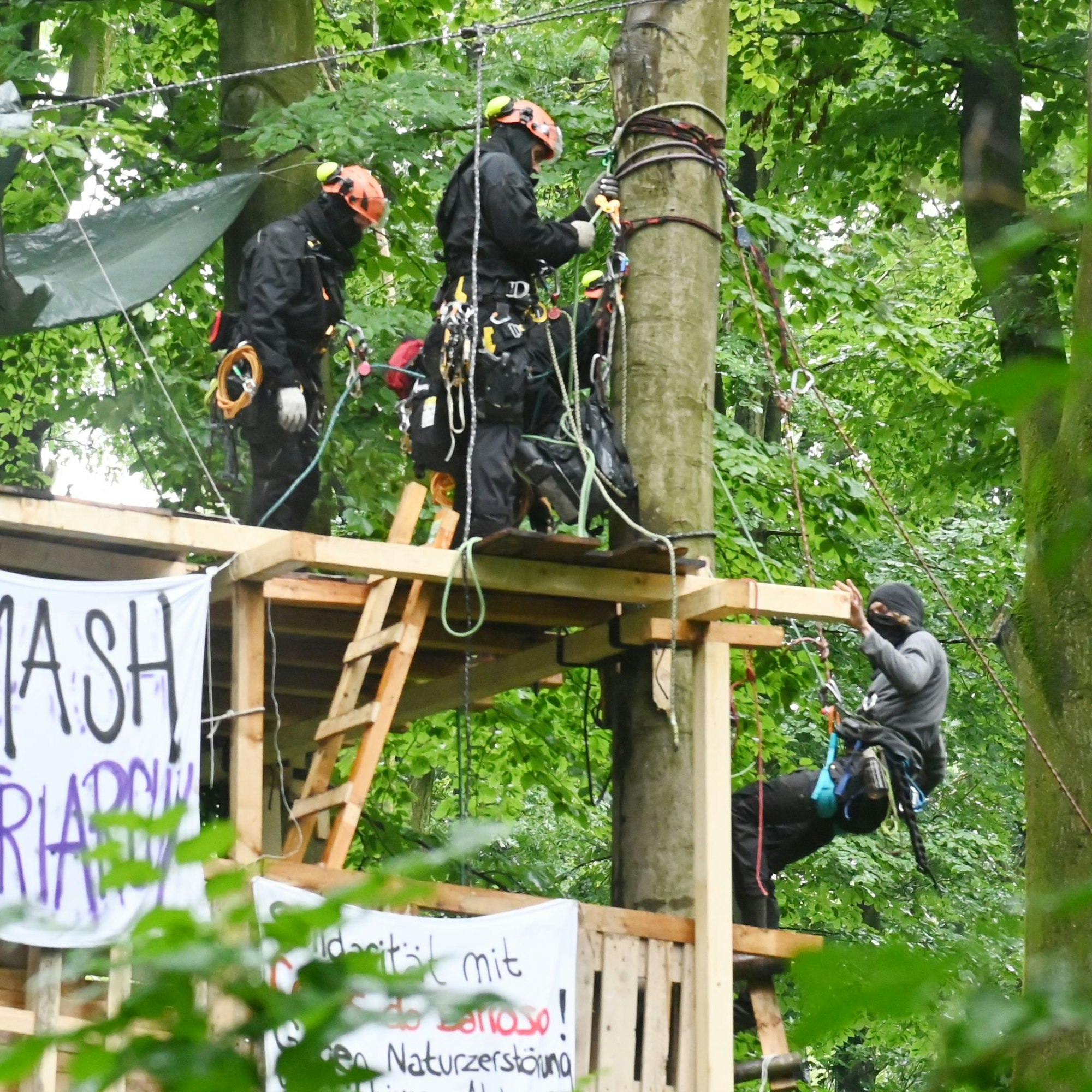 Unter den Augen der Polizei verlassen die Besetzer ihr selbst gezimmertes Baumhaus.