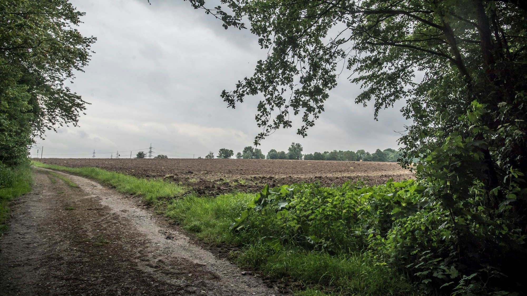 Die Felder gegenüber Auf den Heunen betrachtet die bauverwaltung als geeigneten Standort für eine neue Feuer- und Rettungswache.