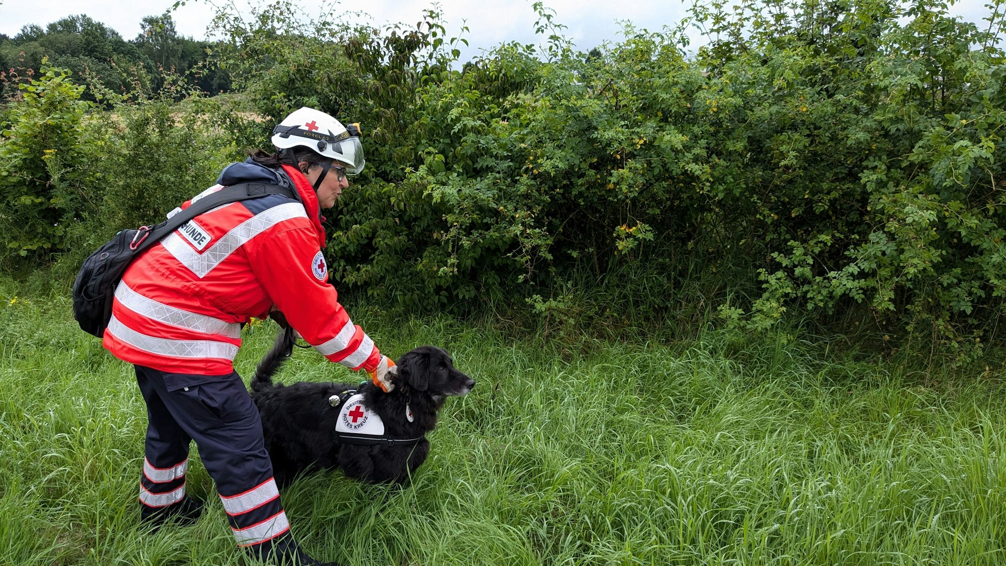 Ein Suchhundeteam des DRK ist im Einsatz.