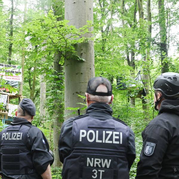 Die Polizei im Gremberger Wäldchen.