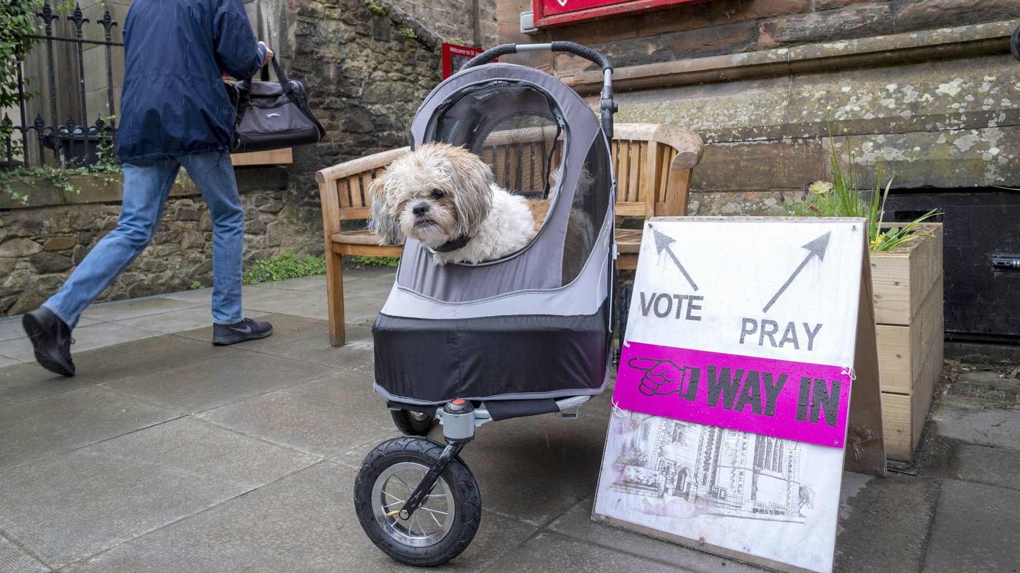 Joey, Hunderasse Shih Tzu, wartet vor dem Wahllokal für die Parlamentswahlen in der St. James' Church.