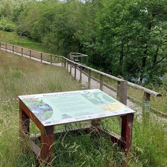 Das Bild zeigt einen Blick auf das Moor, im Vordergrund steht eine Infotafel.