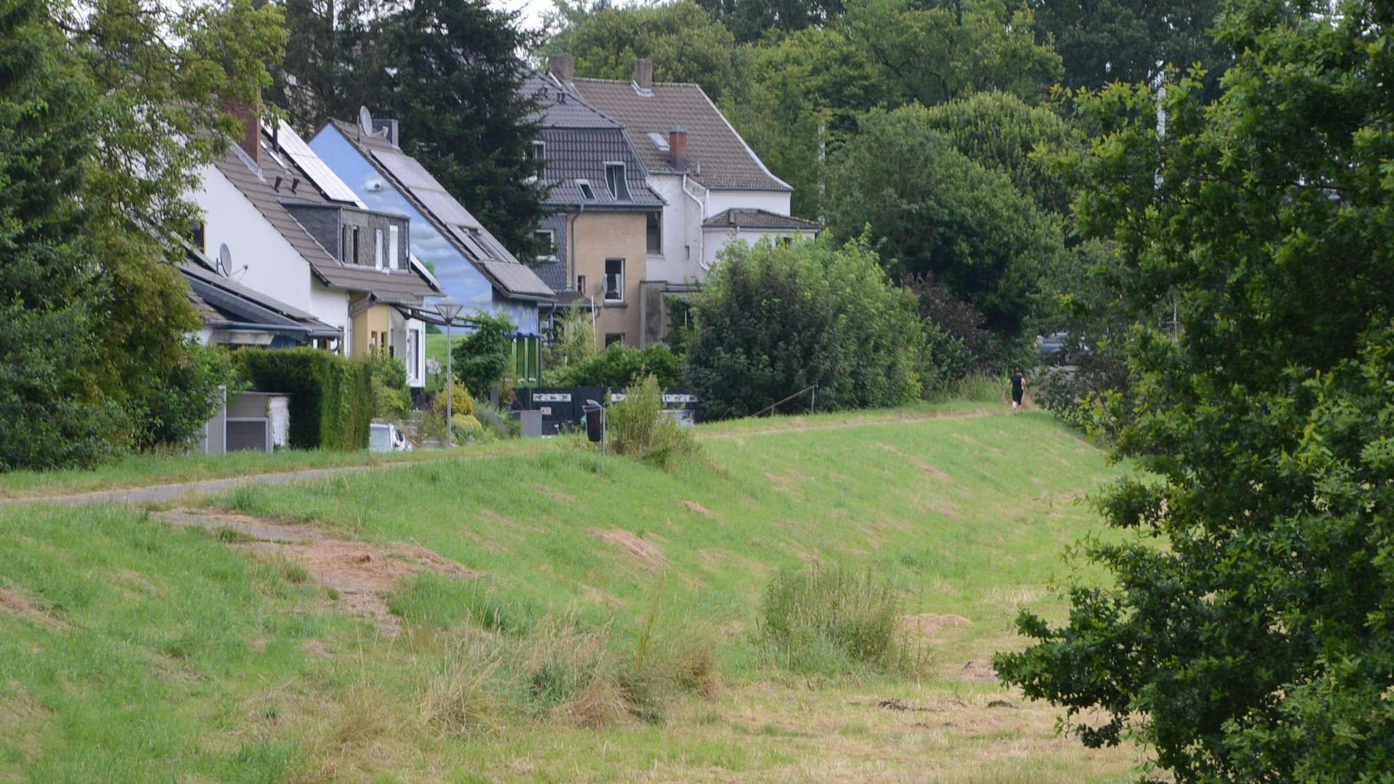 Hinter einem mit Gras bewachsenen Flussdeich stehen Wohnhäuser.
