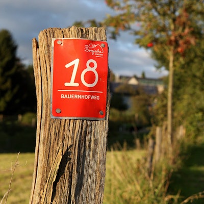 Menschen laufen auf einem Wanderweg.