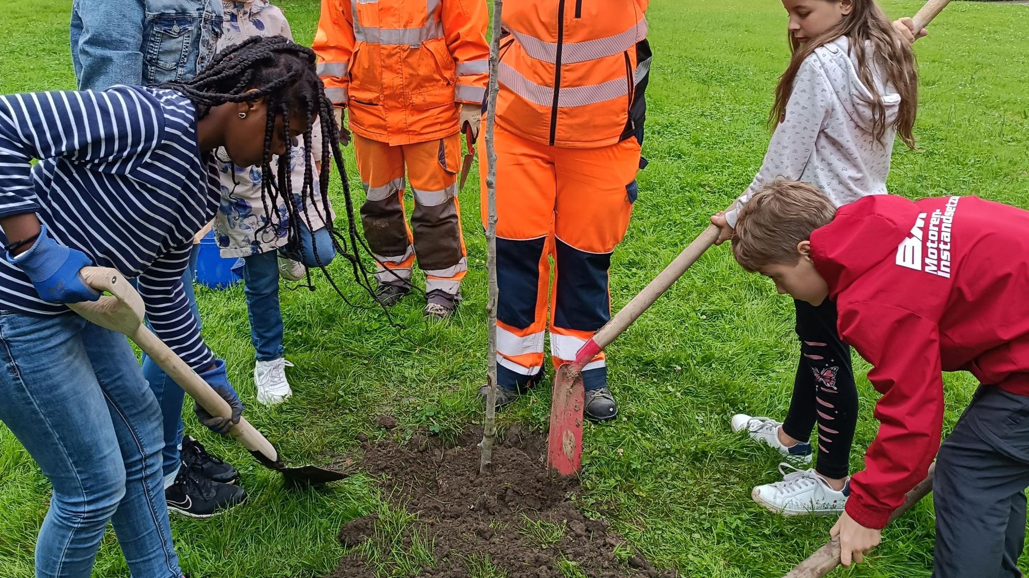 Kinder pflanzen einen Baum.