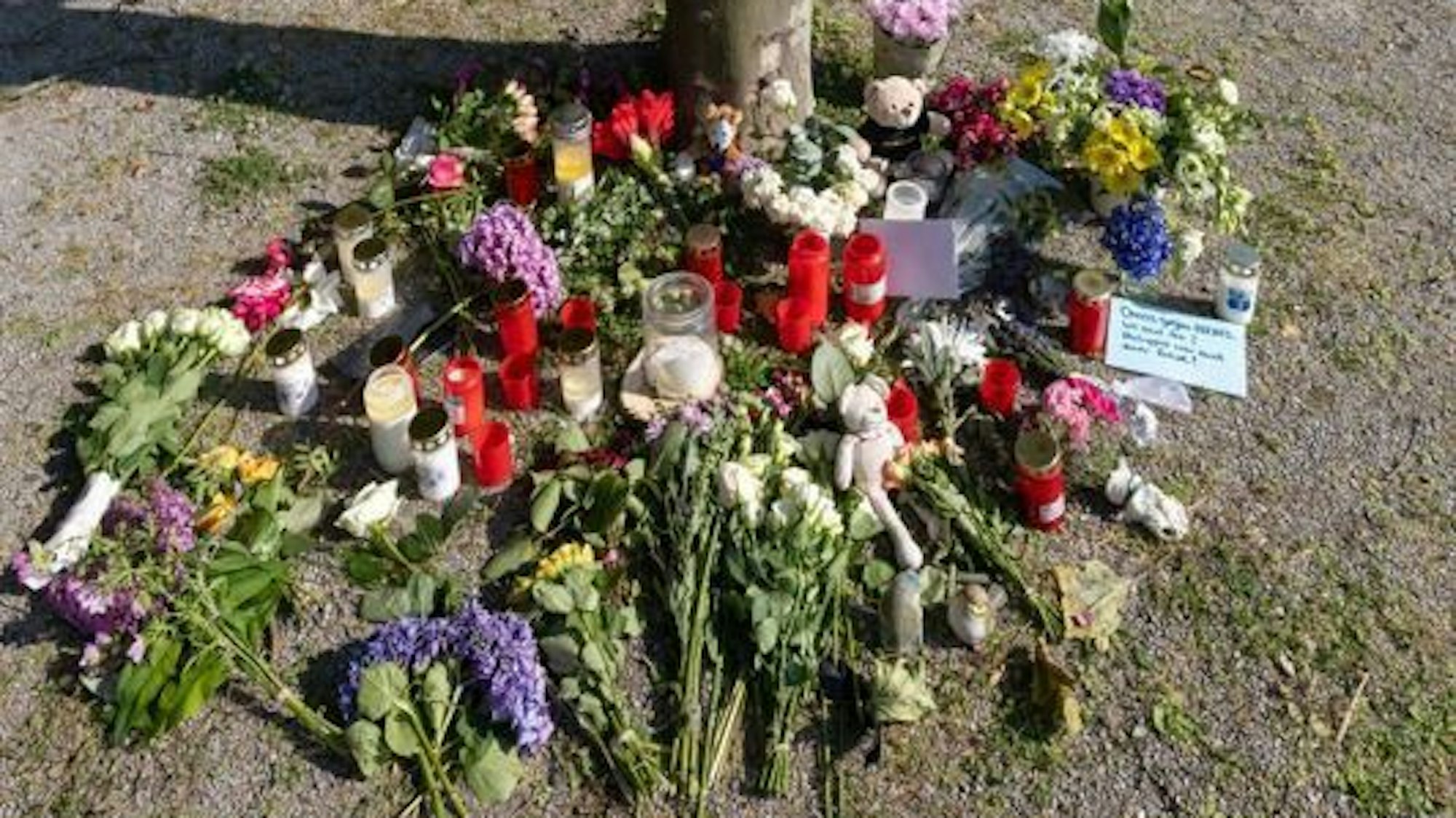 26.06.2024, Nordrhein-Westfalen, Bad Oeynhausen: Blumen, Kerzen und handgeschriebene Trauerbekundungen stehen an einem Baum im Kurpark Bad Oeynhausen. Nach der tödlichen Attacke im Kurpark hatte die Polizei einen 18-jährigen Tatverdächtigen festgenommen. Bei der Attacke hatte ein 20-Jähriger schwerste Verletzungen erlitten und war wenig später im Krankenhaus gestorben. Foto: Str/dpa - ACHTUNG: Bildteile wurden aus rechtlichen Gründen gepixelt +++ dpa-Bildfunk +++