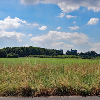 Das Bild zeigt eine Wiese mit Blick auf die Quarzwerke.