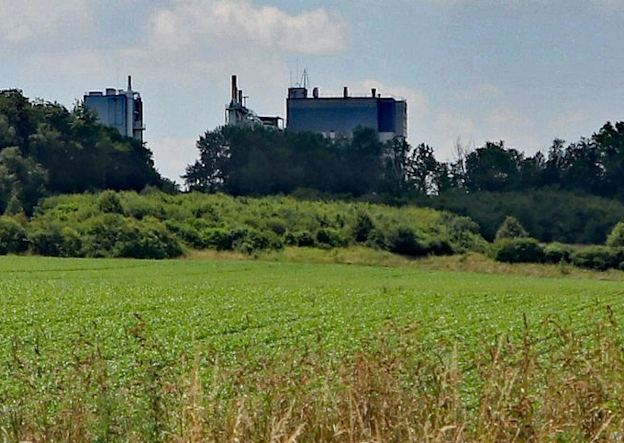 Das Bild zeigt eine Wiese mit Blick auf die Quarzwerke.