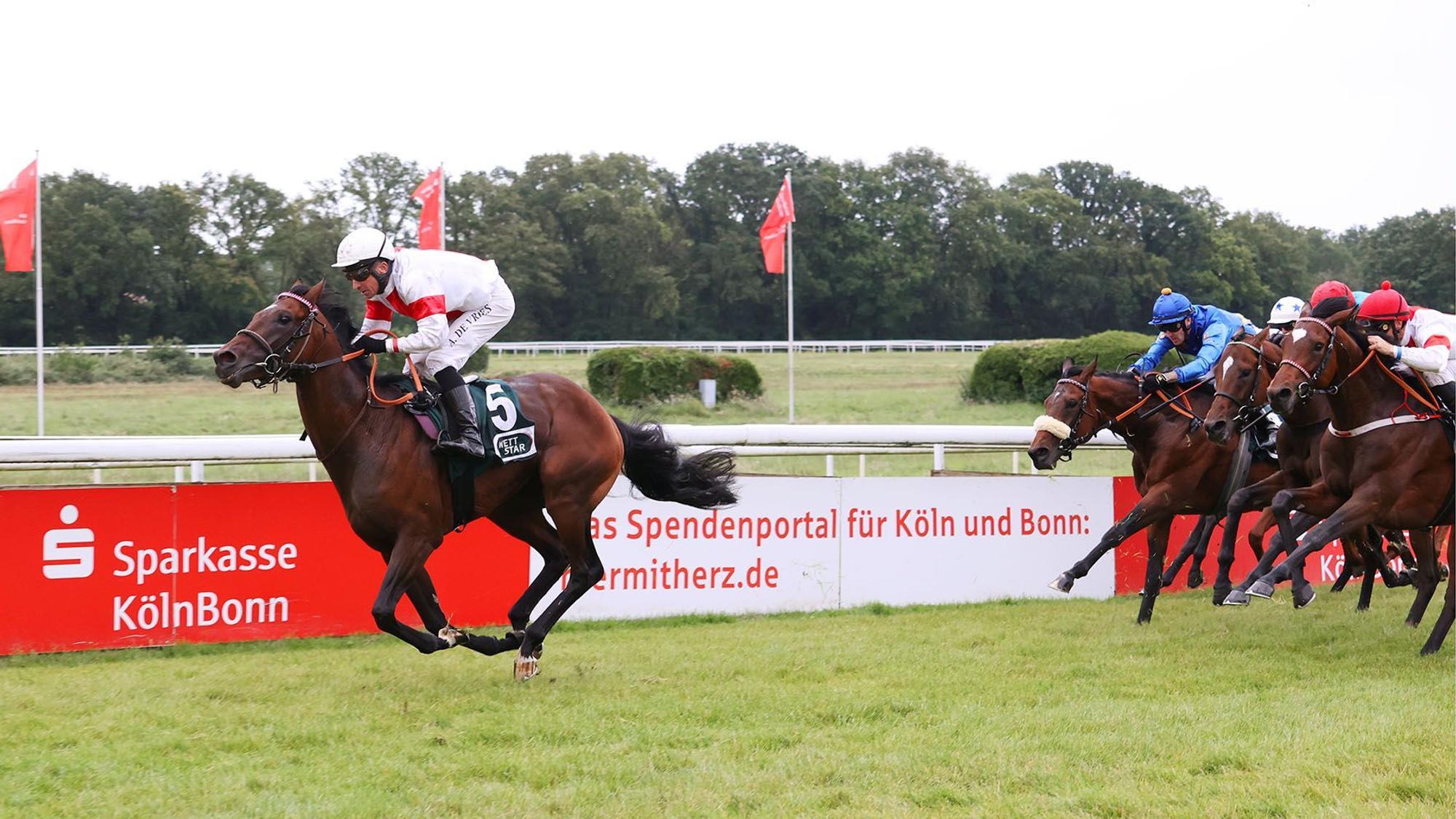Juni 2024: Über 2200 Meter gewinnt Narrativo mit Adrie de Vries aus dem Gestüt Ittlingen.