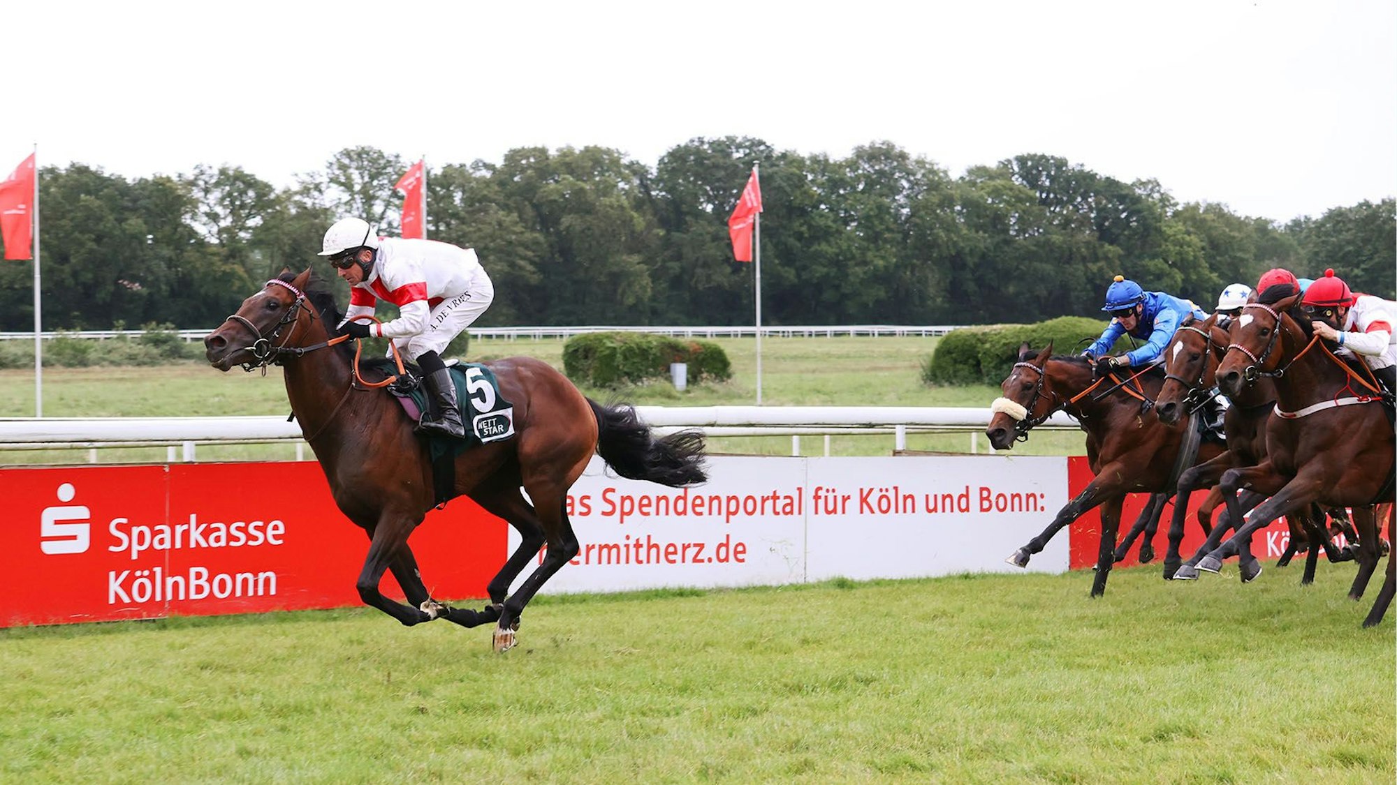 Juni 2024: Über 2200 Meter gewinnt Narrativo mit Adrie de Vries aus dem Gestüt Ittlingen.