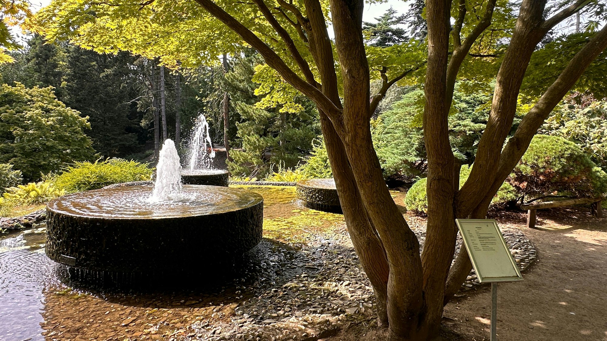 Im Forstbotanischen Garten gibt es viele schattige Plätze.