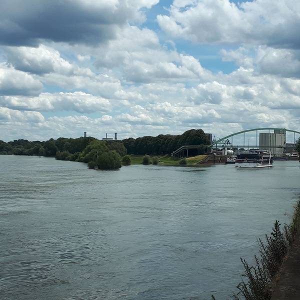 Ein weiterer Punkt der Radtour durch den Stadtbezirk Nippes: Der Blick von der Rheinpromenade am Niehler Damm auf die Einfahrt des Niehler Hafens.