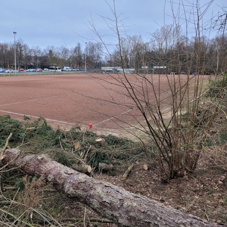 Zu sehen ist ein Aschenplatz, im Vordergrund gefällte Bäume.