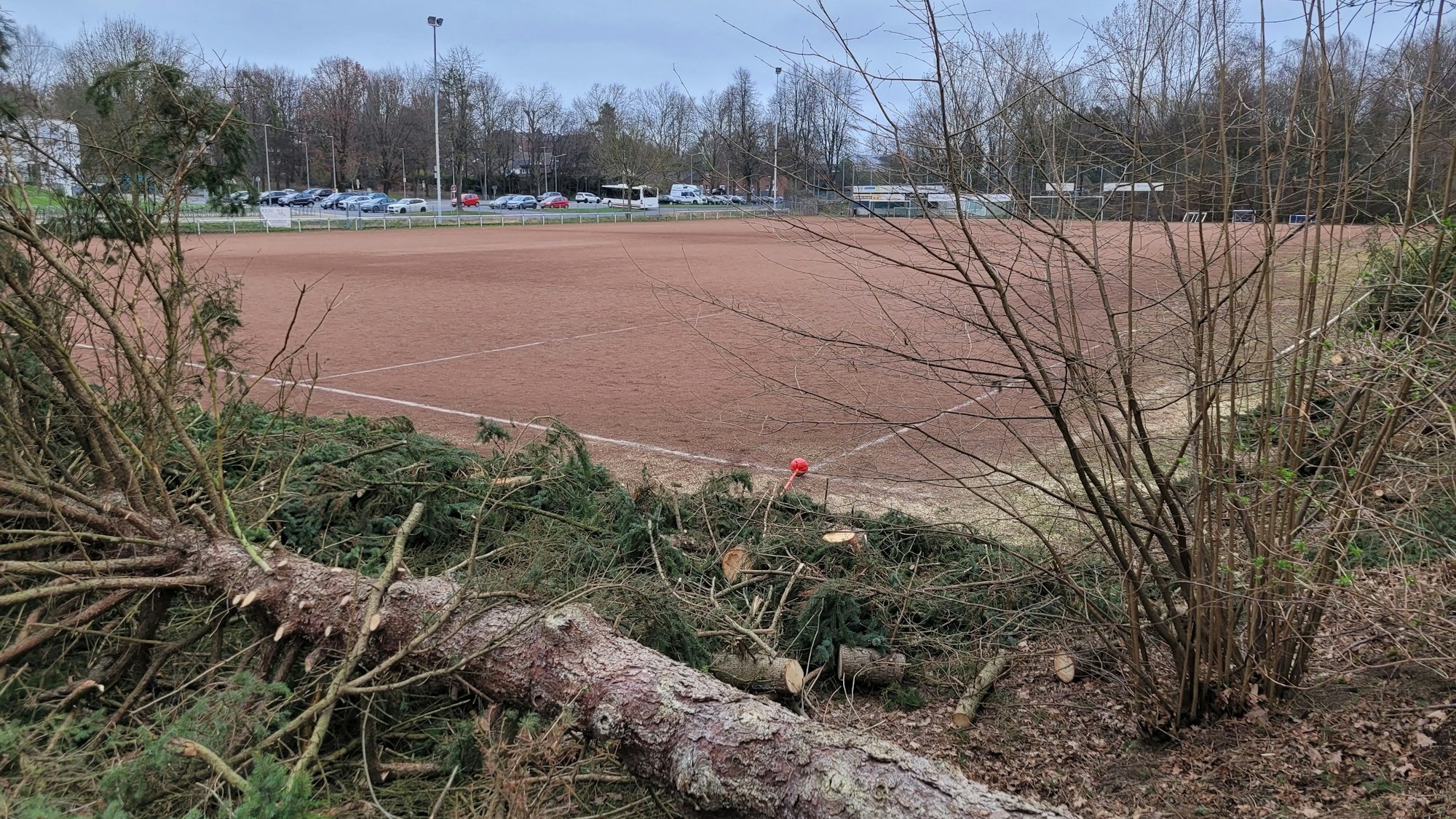 Zu sehen ist ein Aschenplatz, im Vordergrund gefällte Bäume.