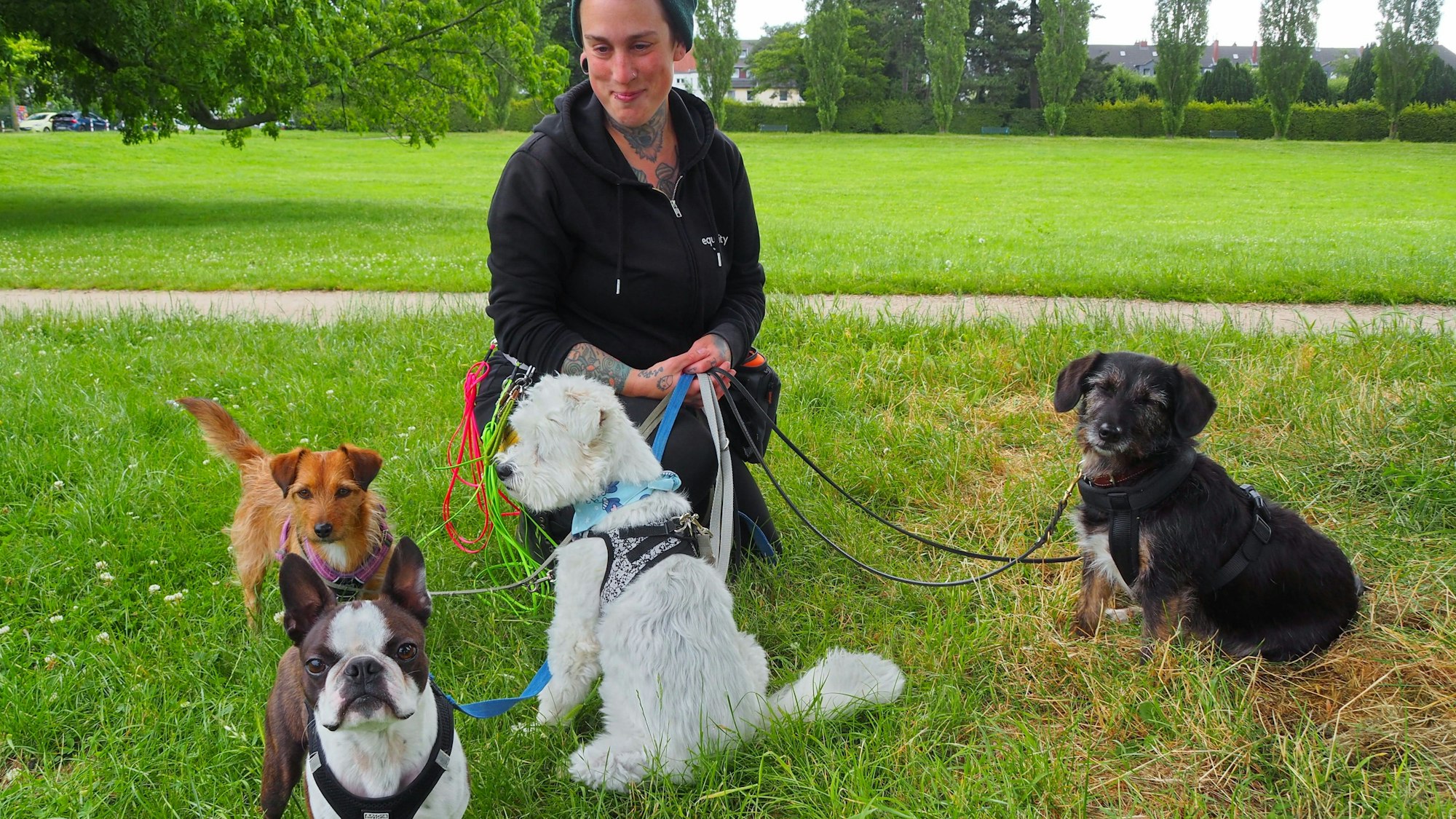 Julia Jagiello – hier bei der Morgenrunde mit Toffee, Gouda, Kaiou und Lisa im Vorgebirgspark – dass keiner ihrer Schützlinge zu kurz kommt.