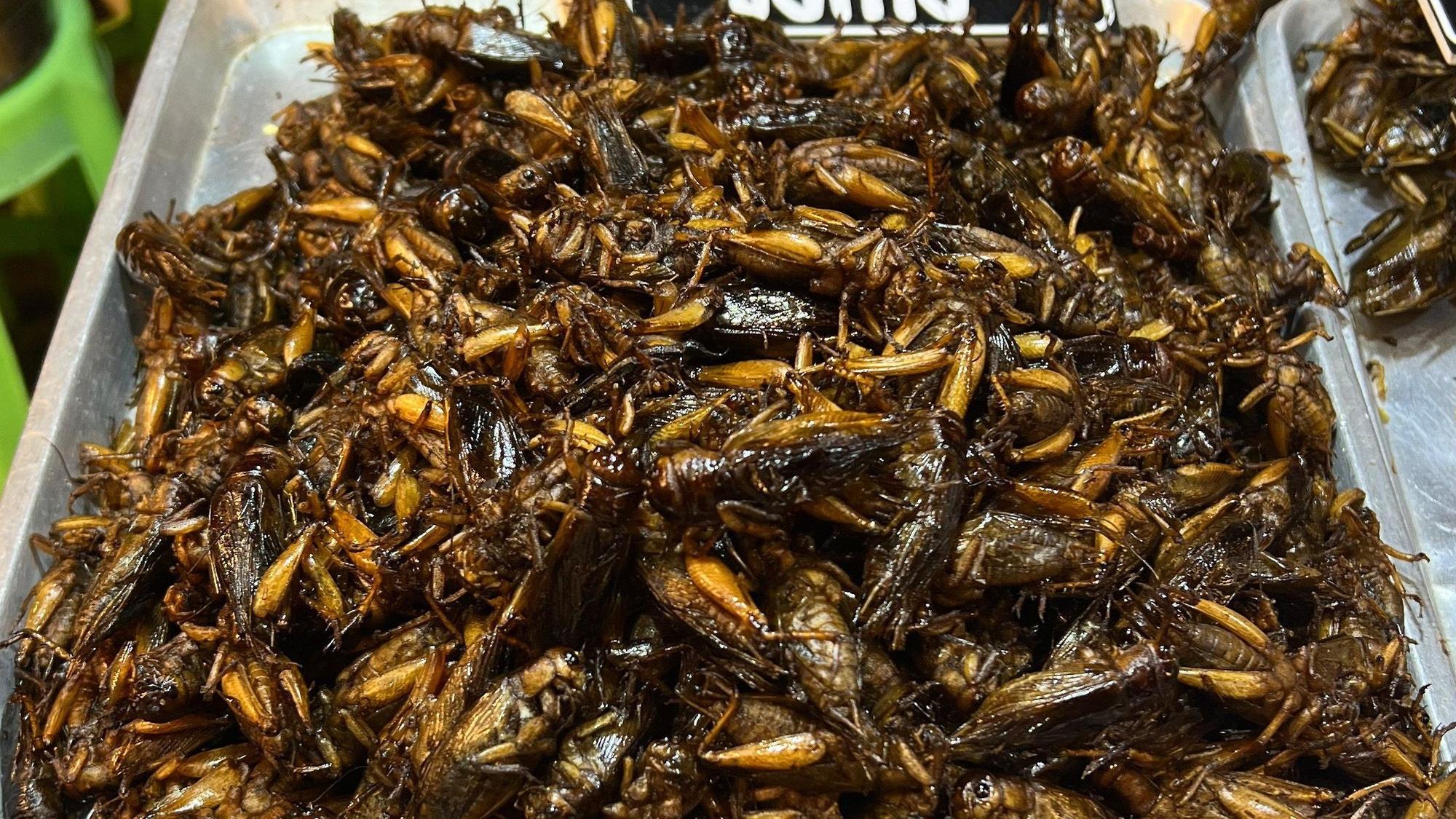 Insekten zum Essen werden auf einem Markt angeboten.
