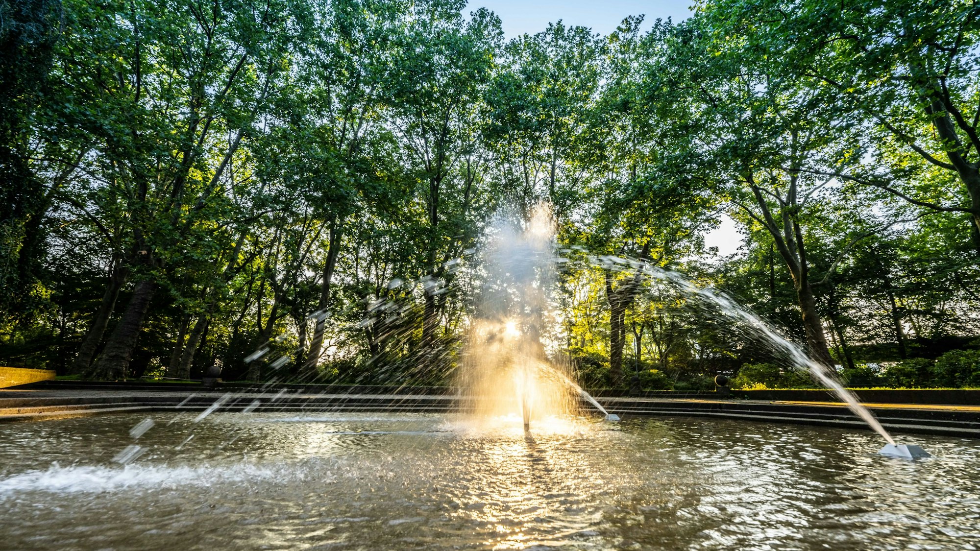 Die sprudelnde Fontäne im Kölner Blücherpark, umgeben von hohen grünen Bäumen. (Archivbild)