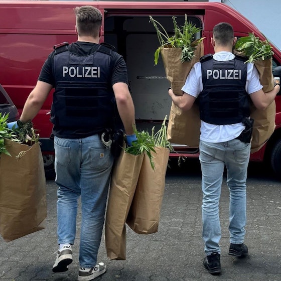Zu sehen sind Polizeibeamte, die Cannabispflanzen forttragen.