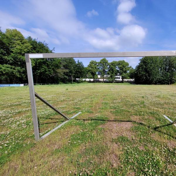 Ein Fußballtor ohne Netz steht auf einem von kleinwüchsigen Pflanzen überdeckten Aschenplatz. Im Hintergrund sind Häuser zu sehen.