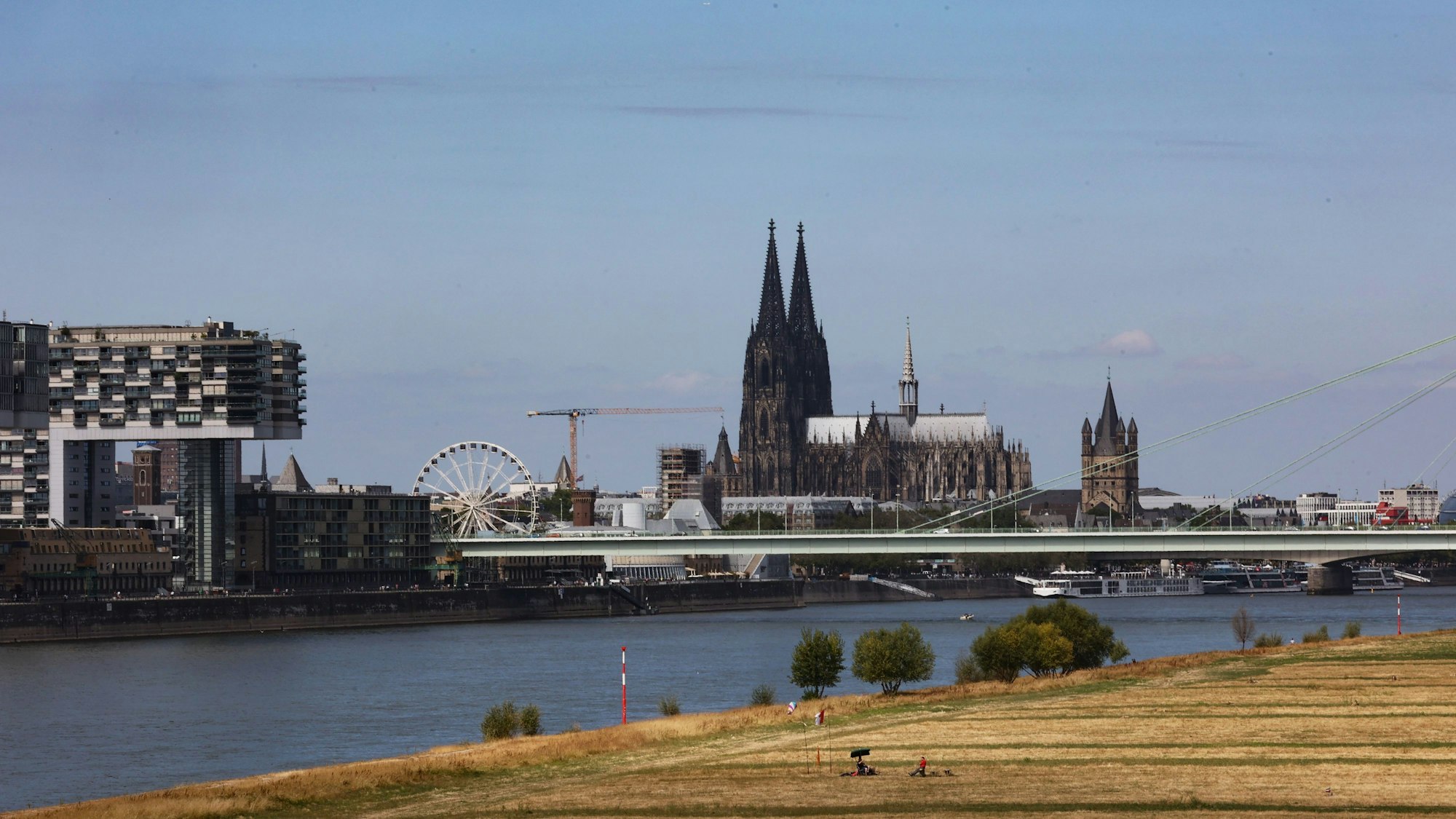Ausgetrocknete Poller Wiesen im Sommer 2022. Die heißen Sommer in Köln werden künftig zunehmen.