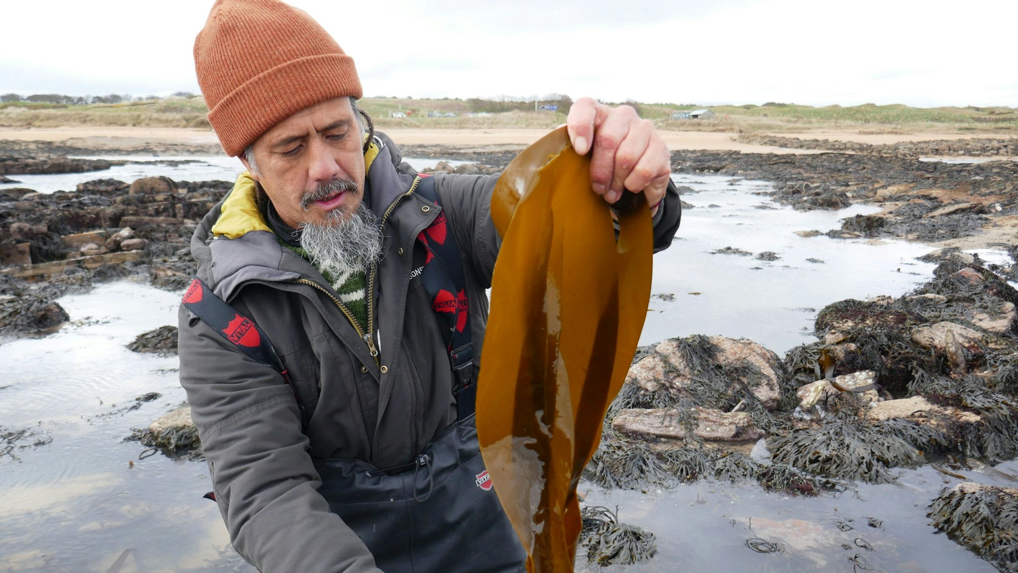Jayson Byles mit Fingertang, einer Braunalgensorte, die er gleich kochen wird.