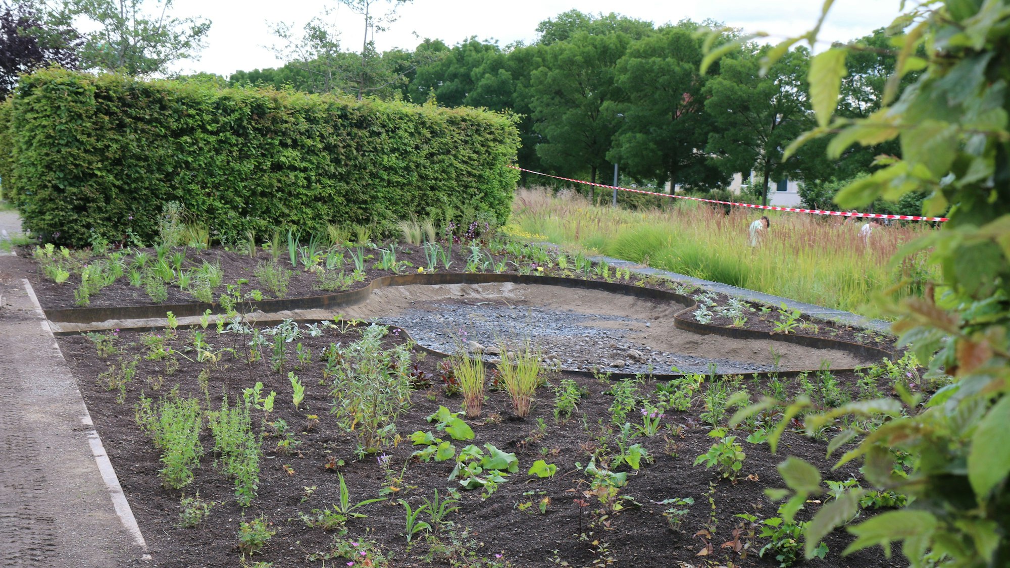 In einem Beet stecken frisch eingepflanzte Stauden. In der Mitte ist eine freie Schotterfläche, auf der später Liegen aufgebaut werden.