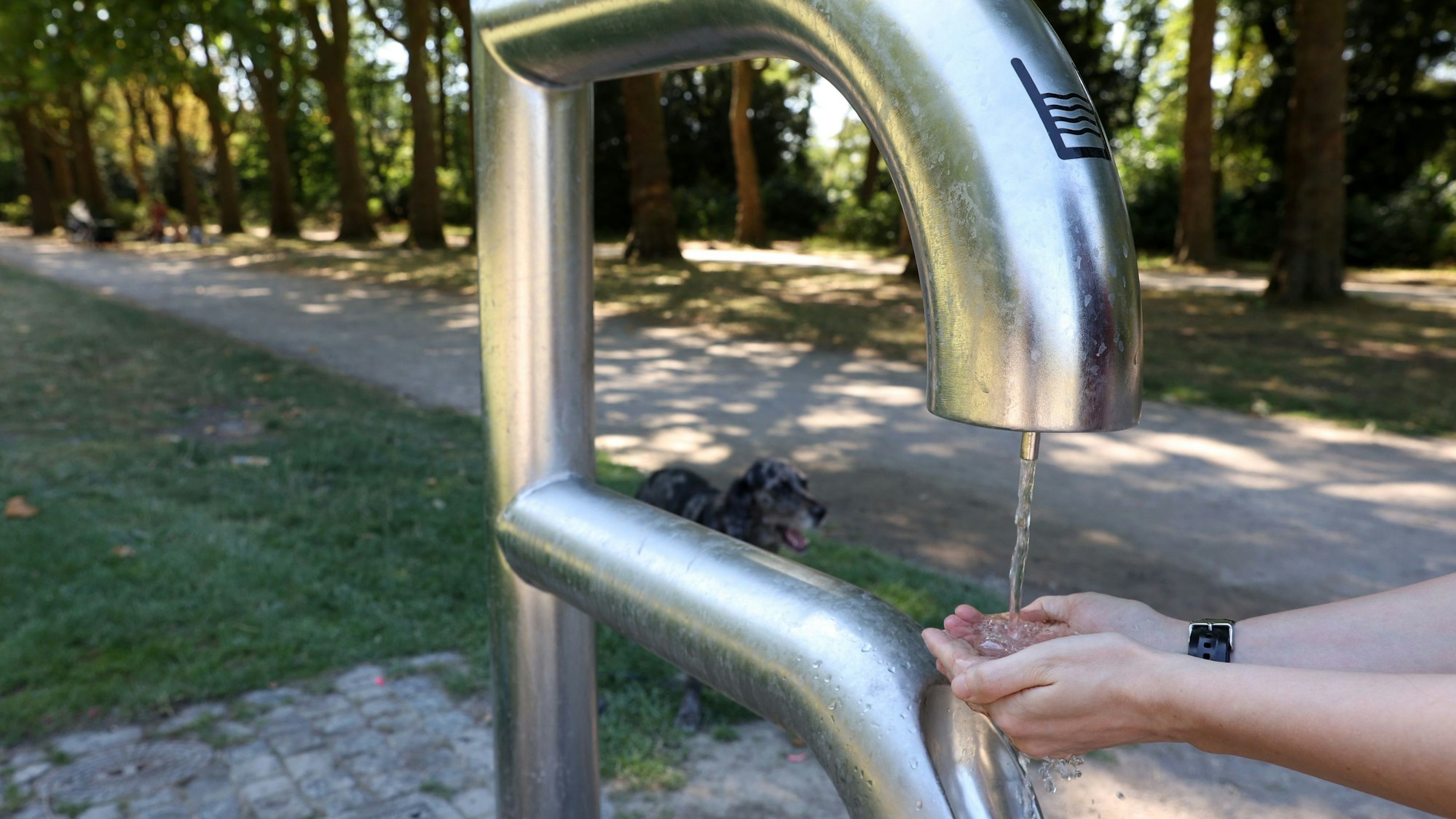 Zu sehen ist ein Trinkwasserbrunnen, an dem sich eine Person gerade Wasser in die Hände laufen lässt.