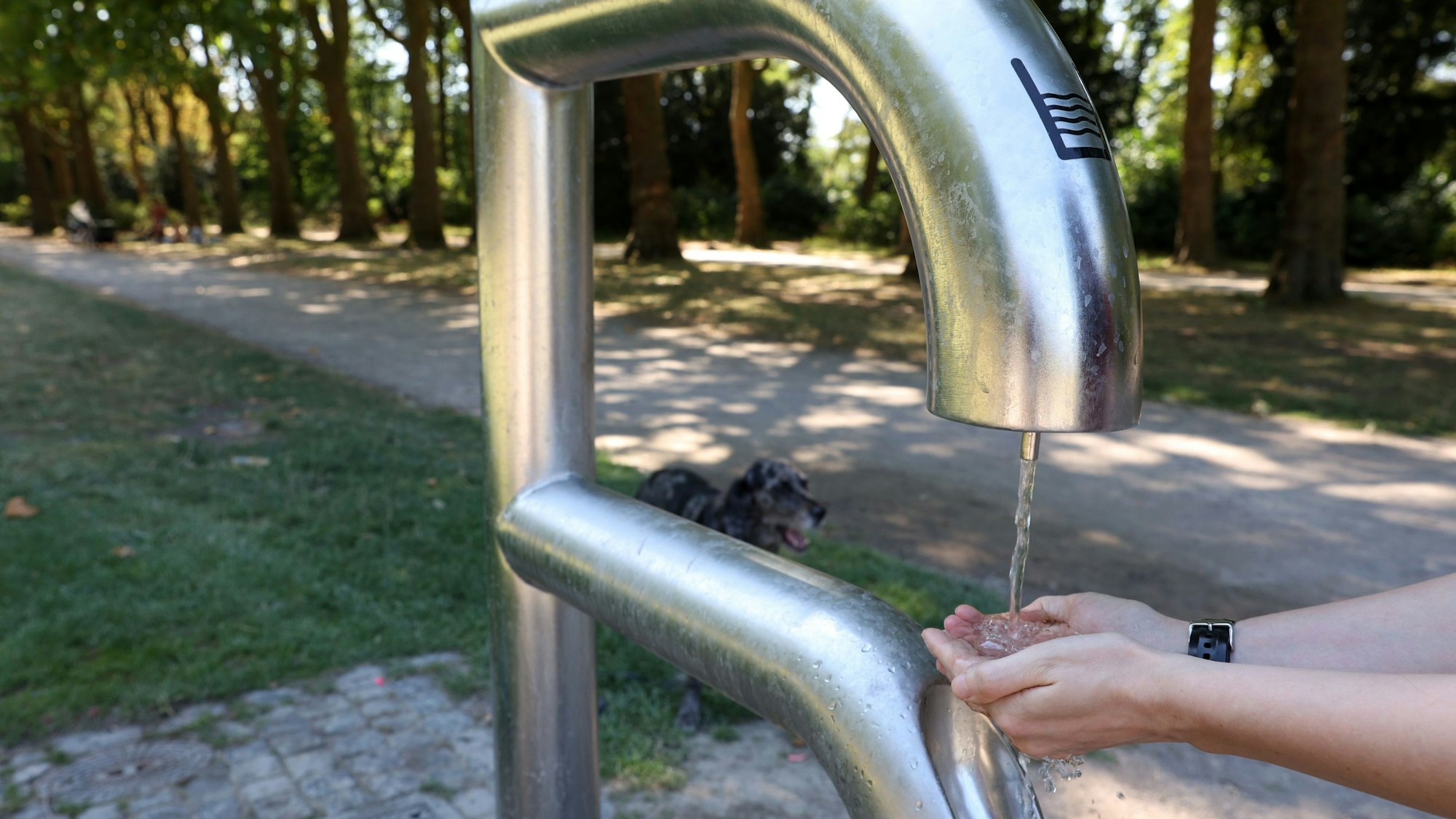 Zu sehen ist ein Trinkwasserbrunnen, an dem sich eine Person gerade Wasser in die Hände laufen lässt.