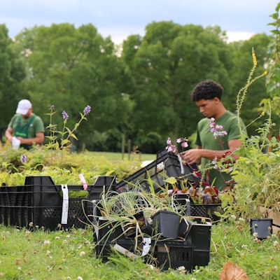 In Blumenkästen stehen Pflanzen. Im Hintergrund sind zwei Männer zu sehen, die im Garten arbeiten.