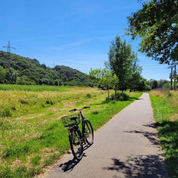 Unterwegs in Rösrath sammelte unser Autor vielerlei Eindrücke, auch mit dem Fahrrad im Landschaftspark, in der Nähe der Sülz.