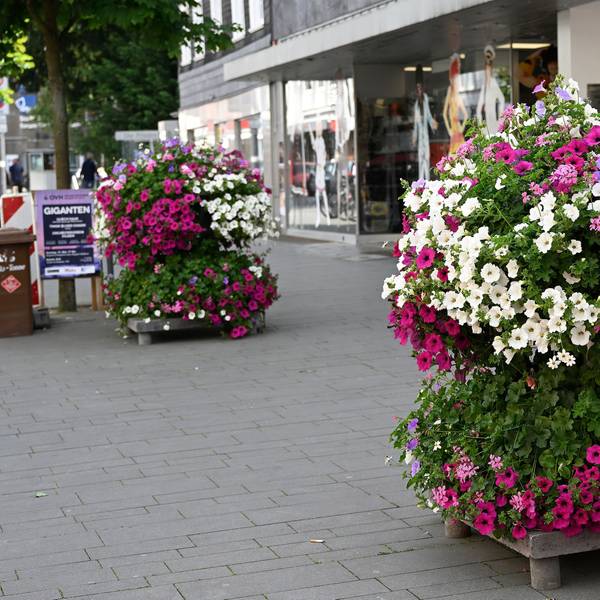 Das Foto zeigt Blumenschmuck in der Fußgängerzone