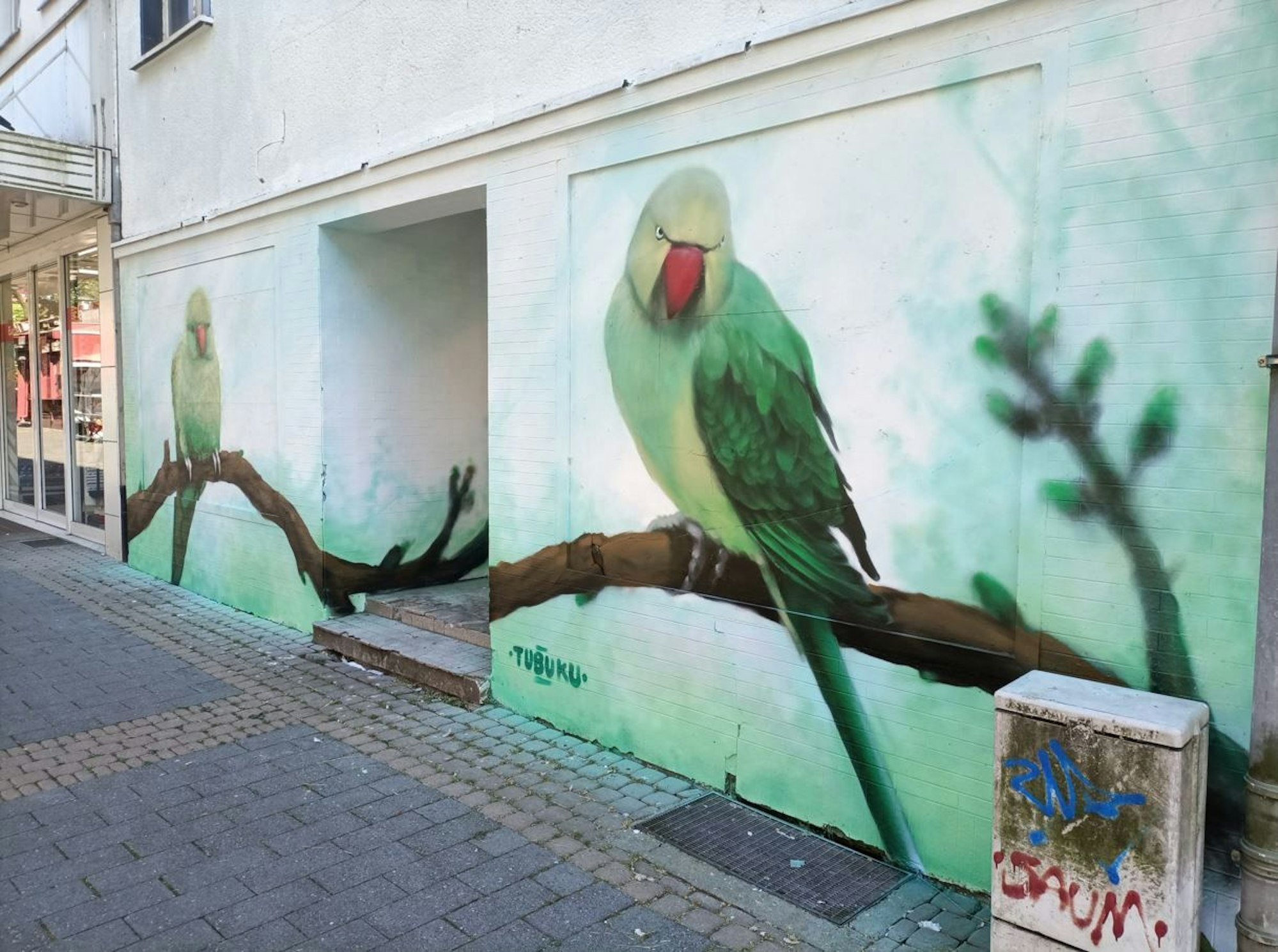 Das alte grüne Haus in Köln-Porz wurde jetzt verschönert und mit Graffiti verziert.