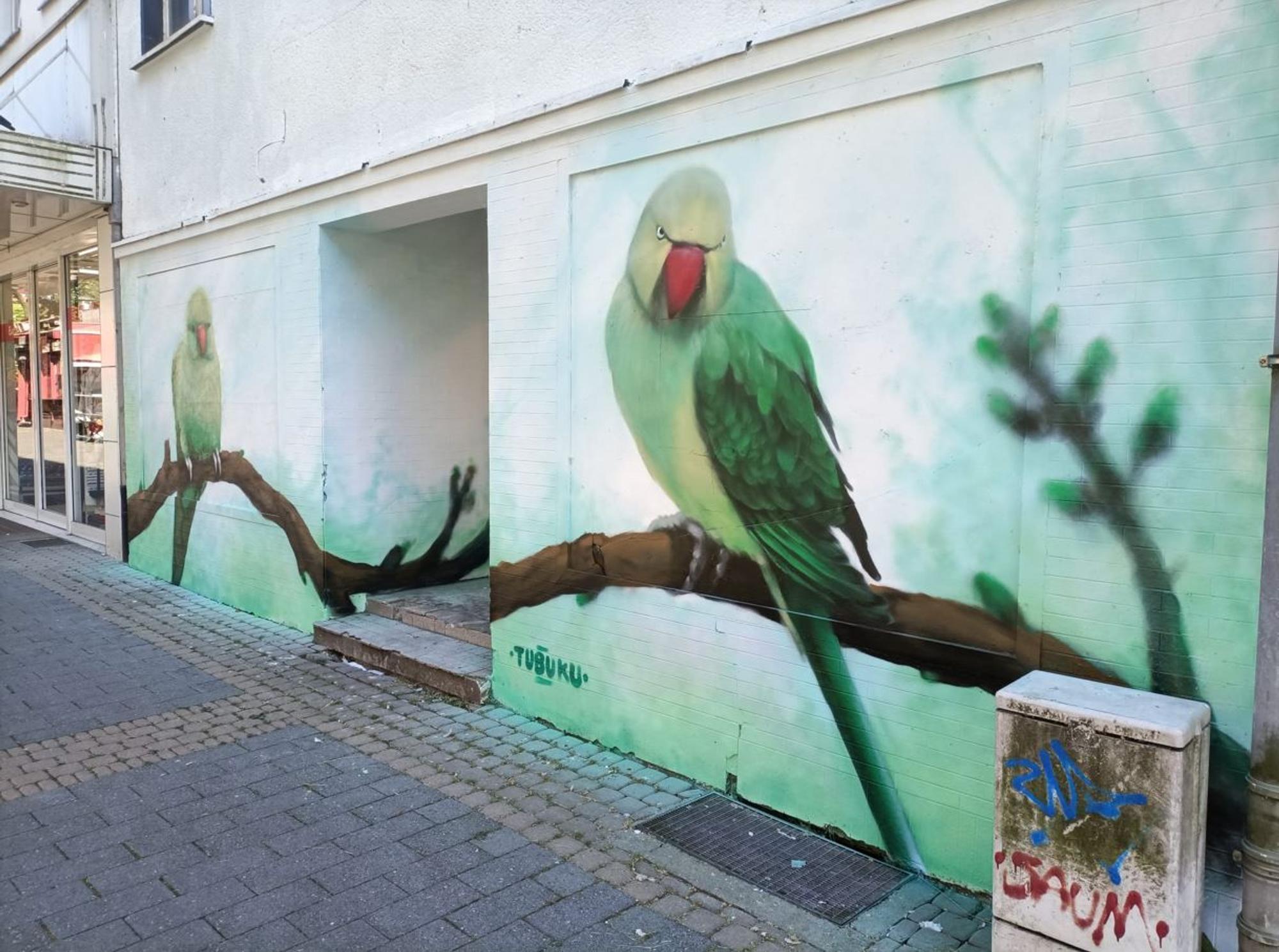 Das alte grüne Haus in Köln-Porz wurde jetzt verschönert und mit Graffiti verziert.
