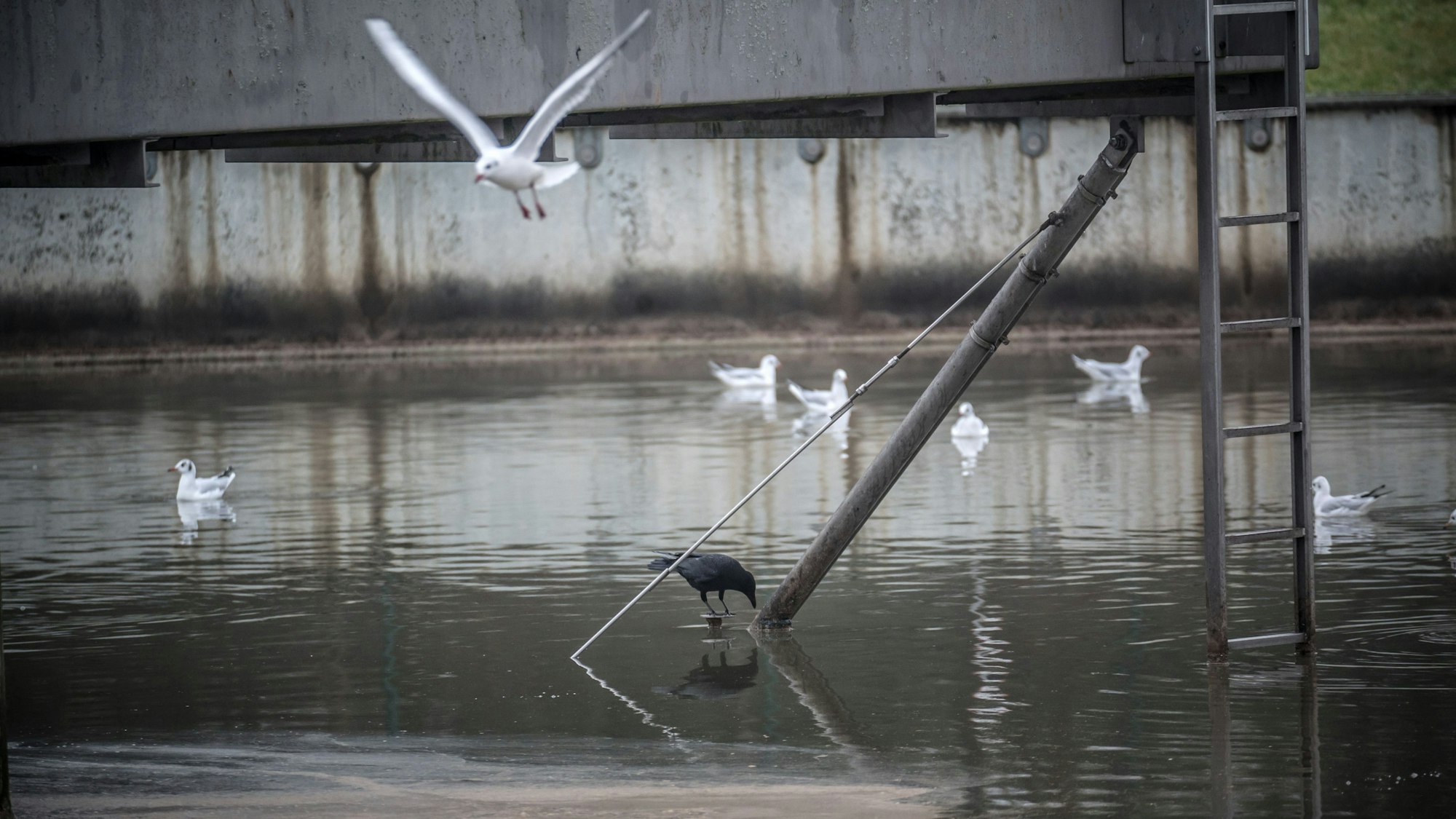 In der Kläranlage des Wupperverbands in Bürrig