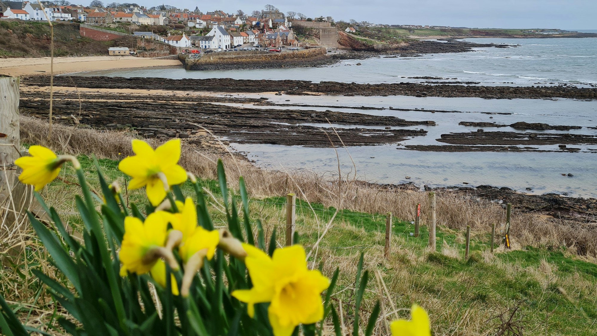 ARCHIV - Station auf dem Fife Coastal Walk: das Fischerdorf Crail.
