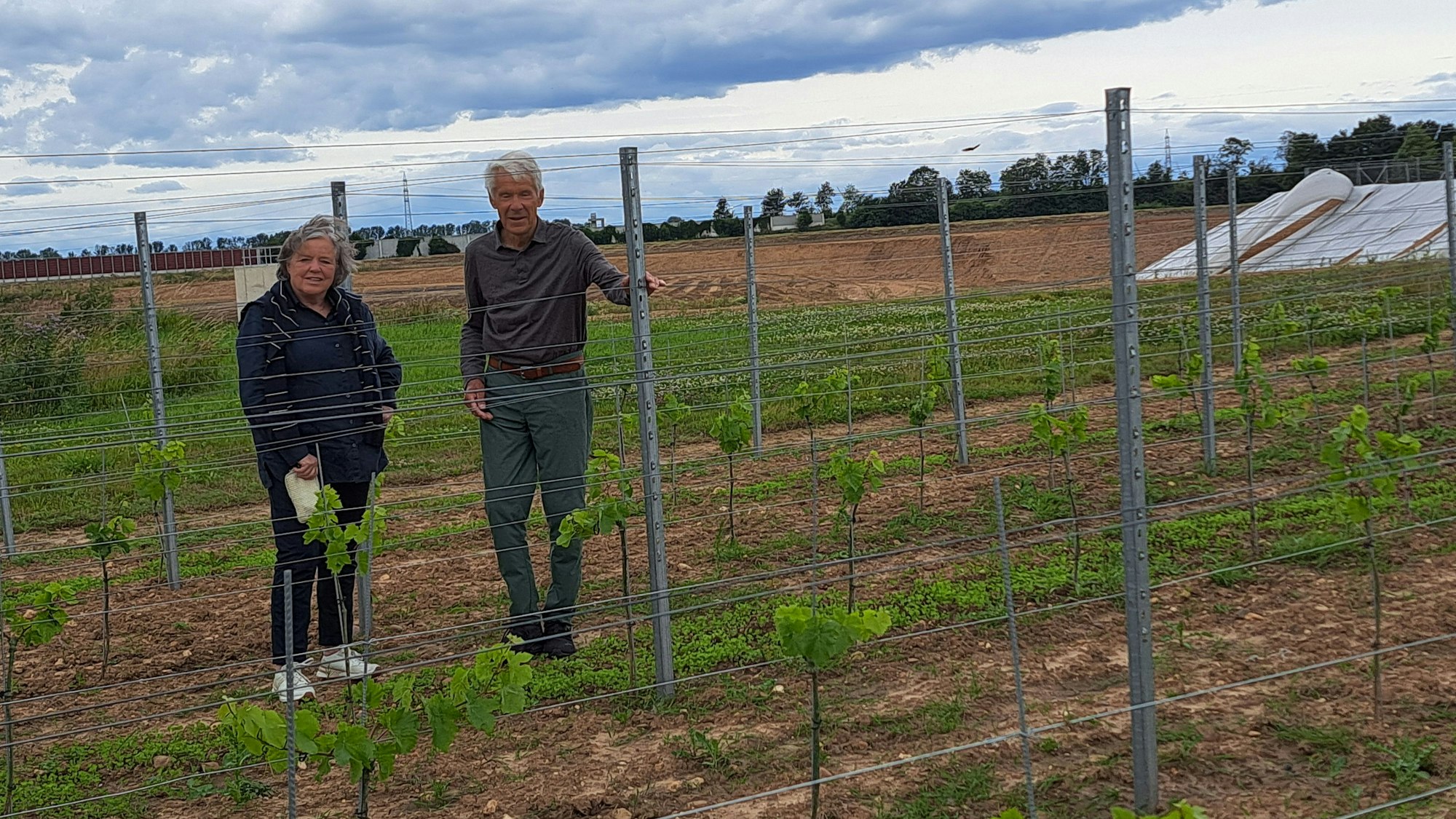 Am Rand des Kraters hat das Bürgerforum Blessem einen kleinen Weinberg angelegt. Christian Obladen und Gottlieb Richardt schauen nach, wie die Reben gedeihen.
