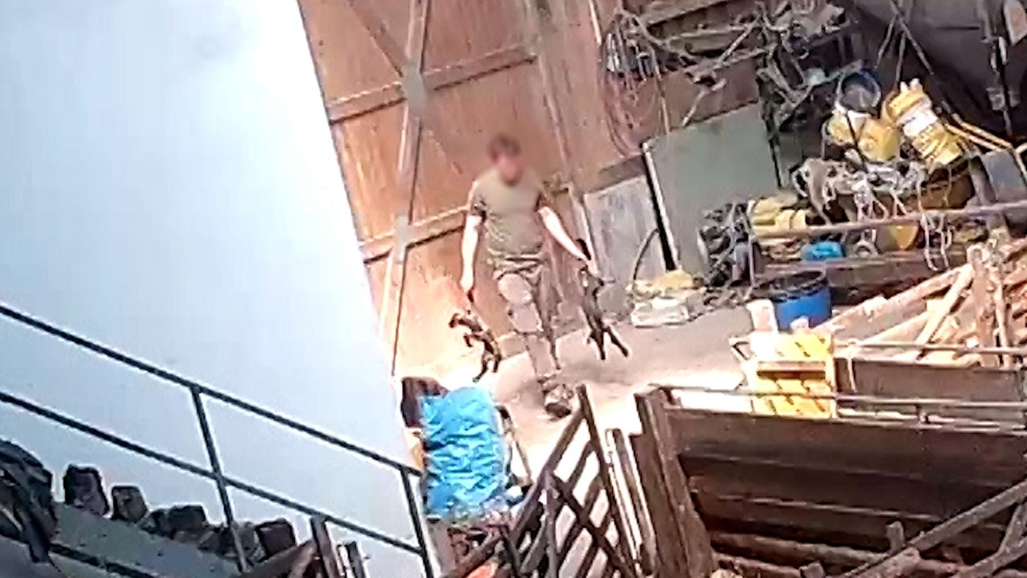 Aufnahmen aus einer Videokamera, die Tierschützer in dem einsam gelegenen Stall heimlich installierten, zeigen den Schäfer, wie er seine Tiere quält. Zwei neu geborene Lämmer hält er an einem Bein.