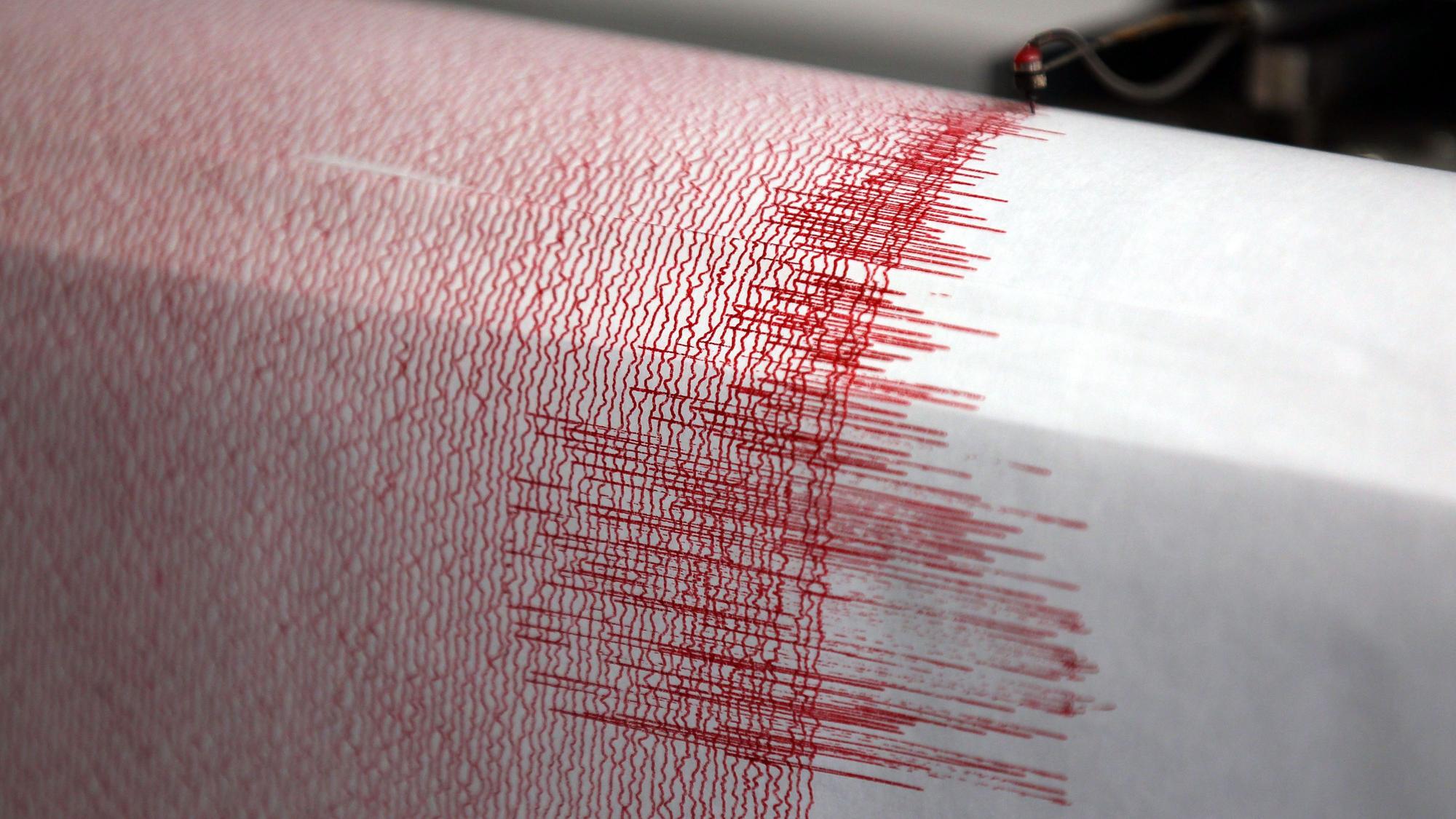 Der Seismograf der Erdbebenwarte verzeichnet Ausschläge.