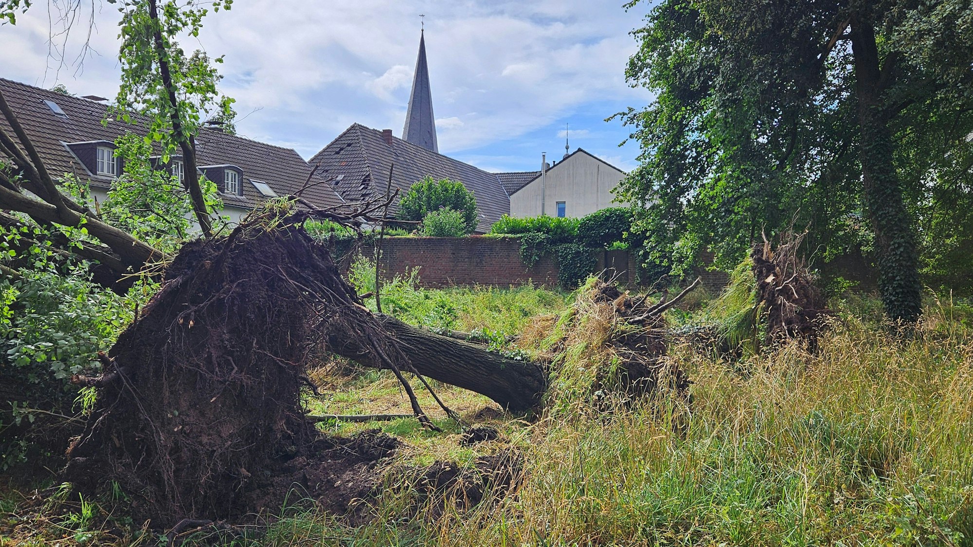 Vor dem Ort Alt-Kaster liegen vor der Stadtmauer mehrere entwurzelte Bäume.