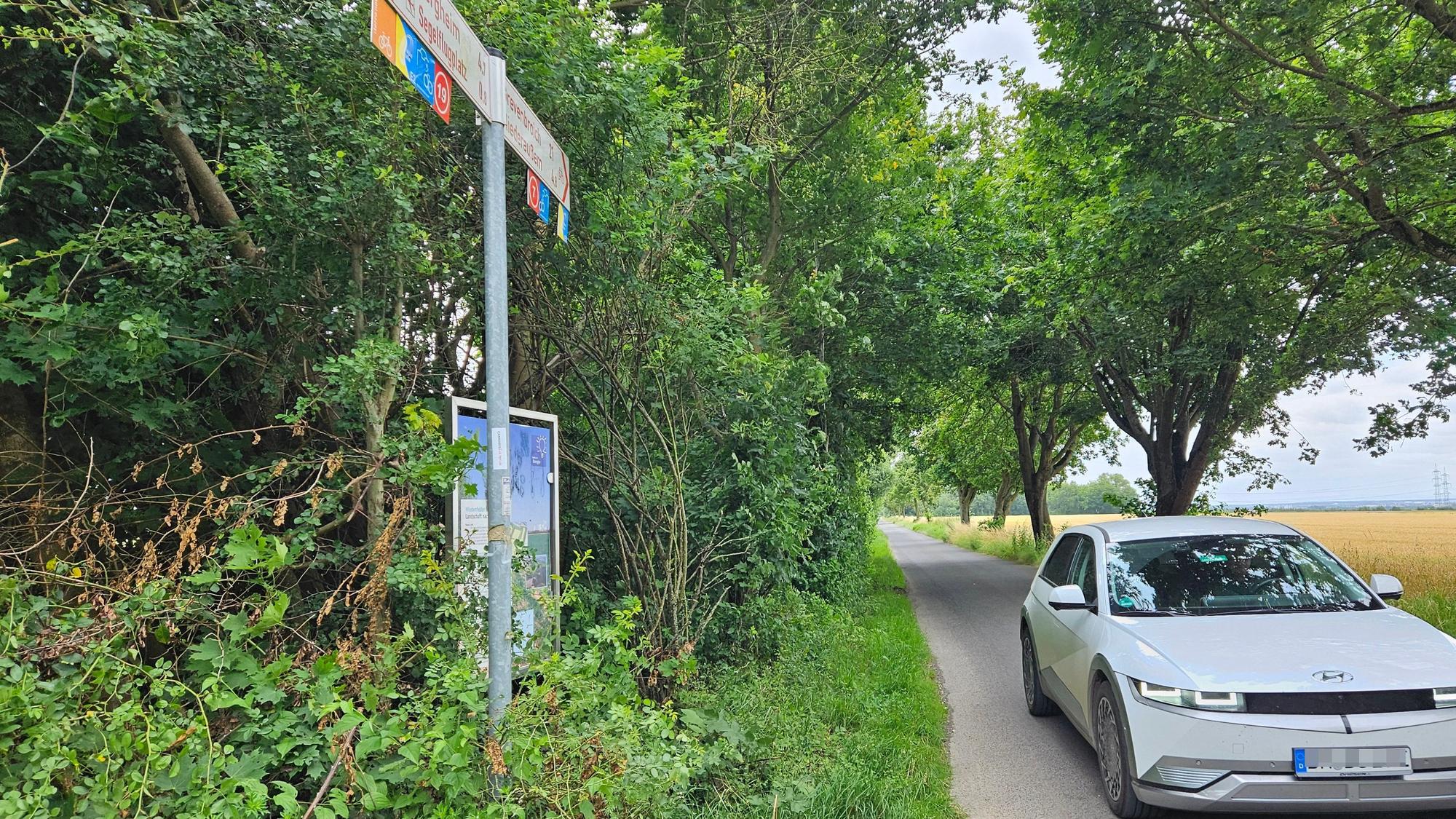 Zu sehen ist ein Feldweg, auf dem ein Auto fährt.