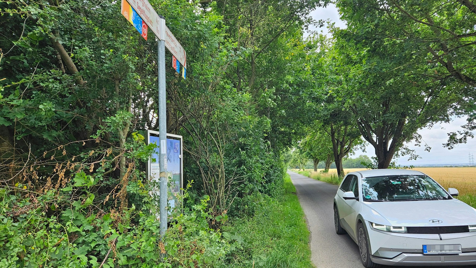 Zu sehen ist ein Feldweg, auf dem ein Auto fährt.