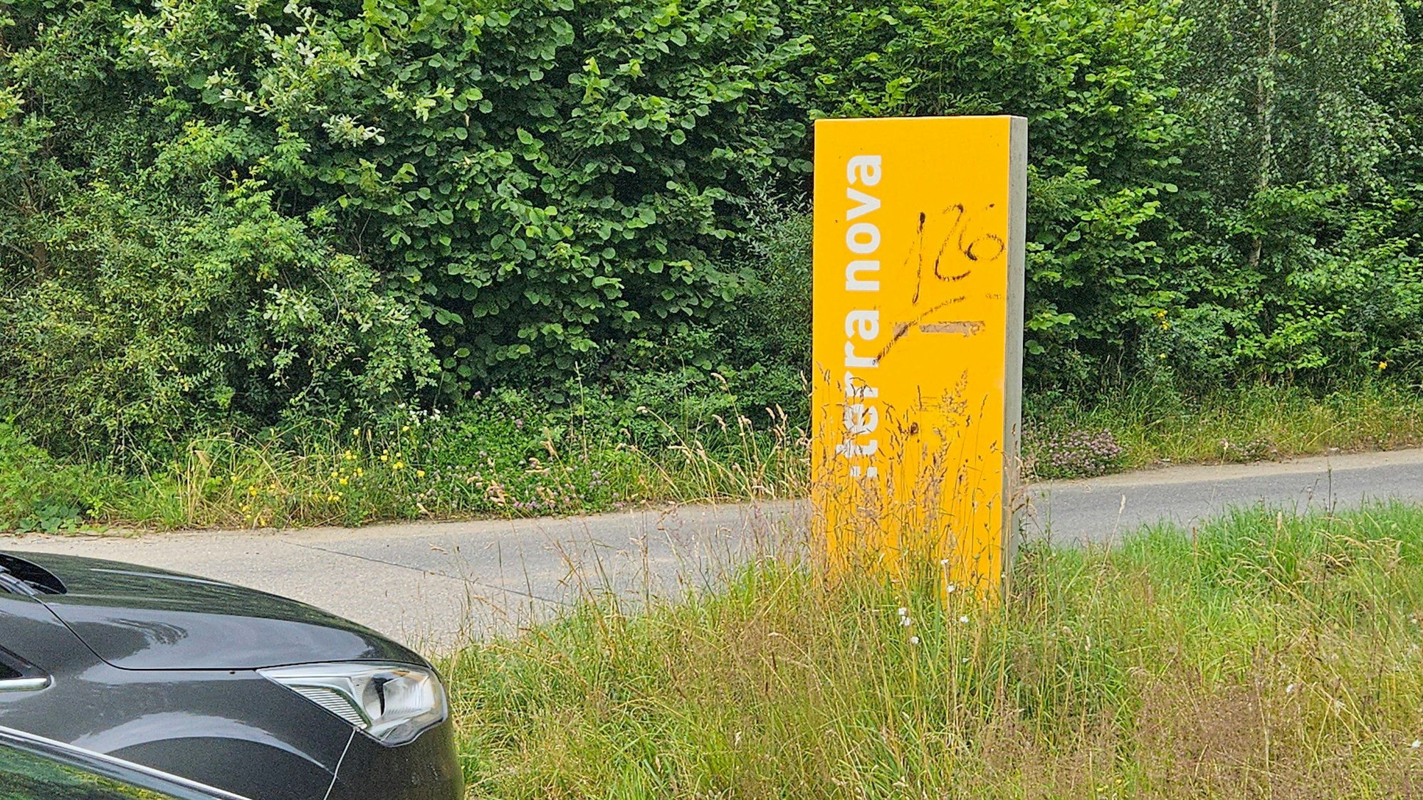 Zu sehen ist ein gelbes Schild an einem Weg.