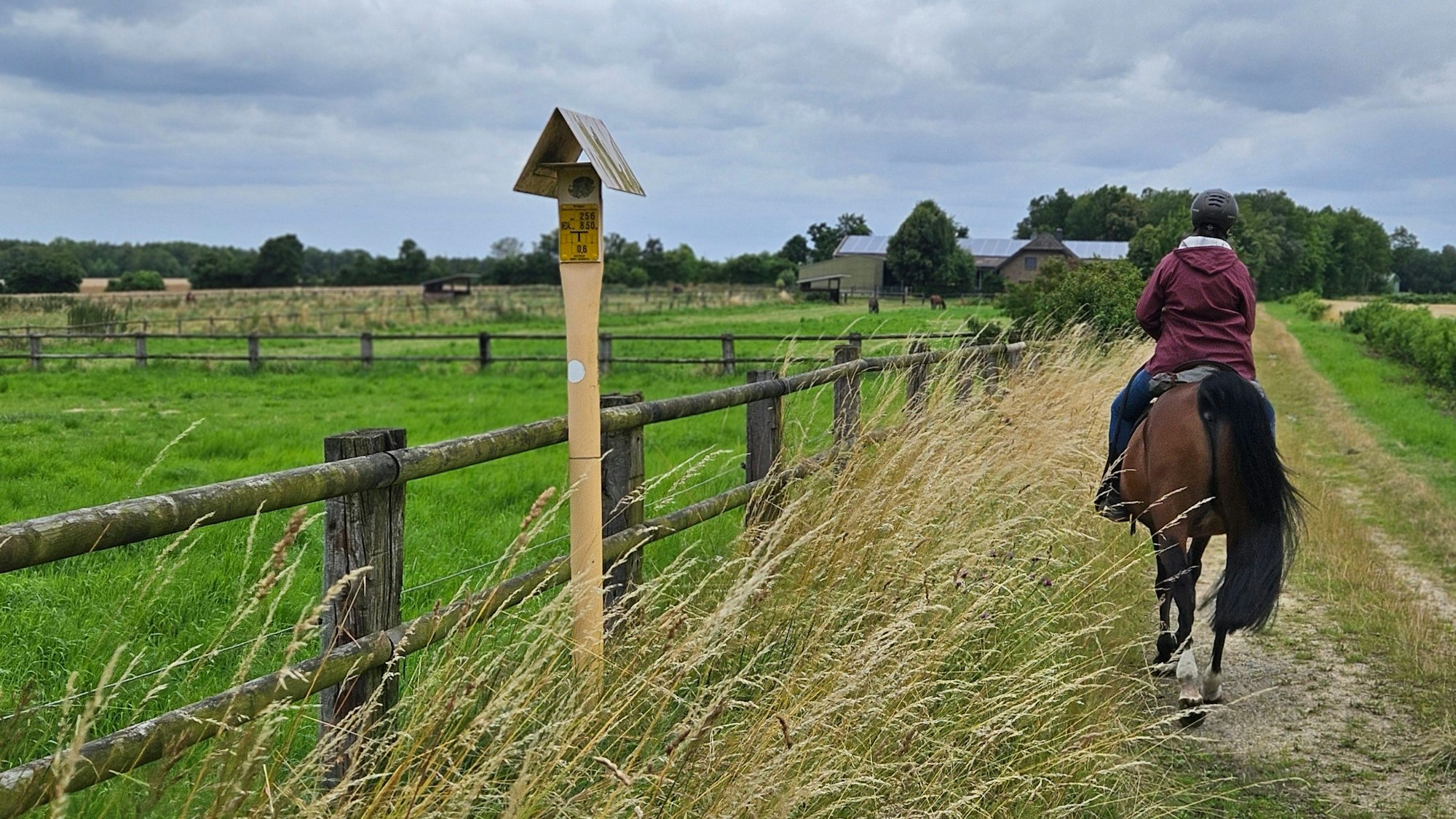 Zu sehen ist eine Reiterin auf einem Feldweg.