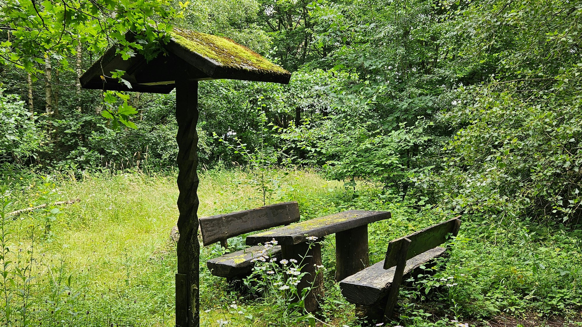 Zu sehen ist ein Tisch mit Bänken auf einer Lichtung.