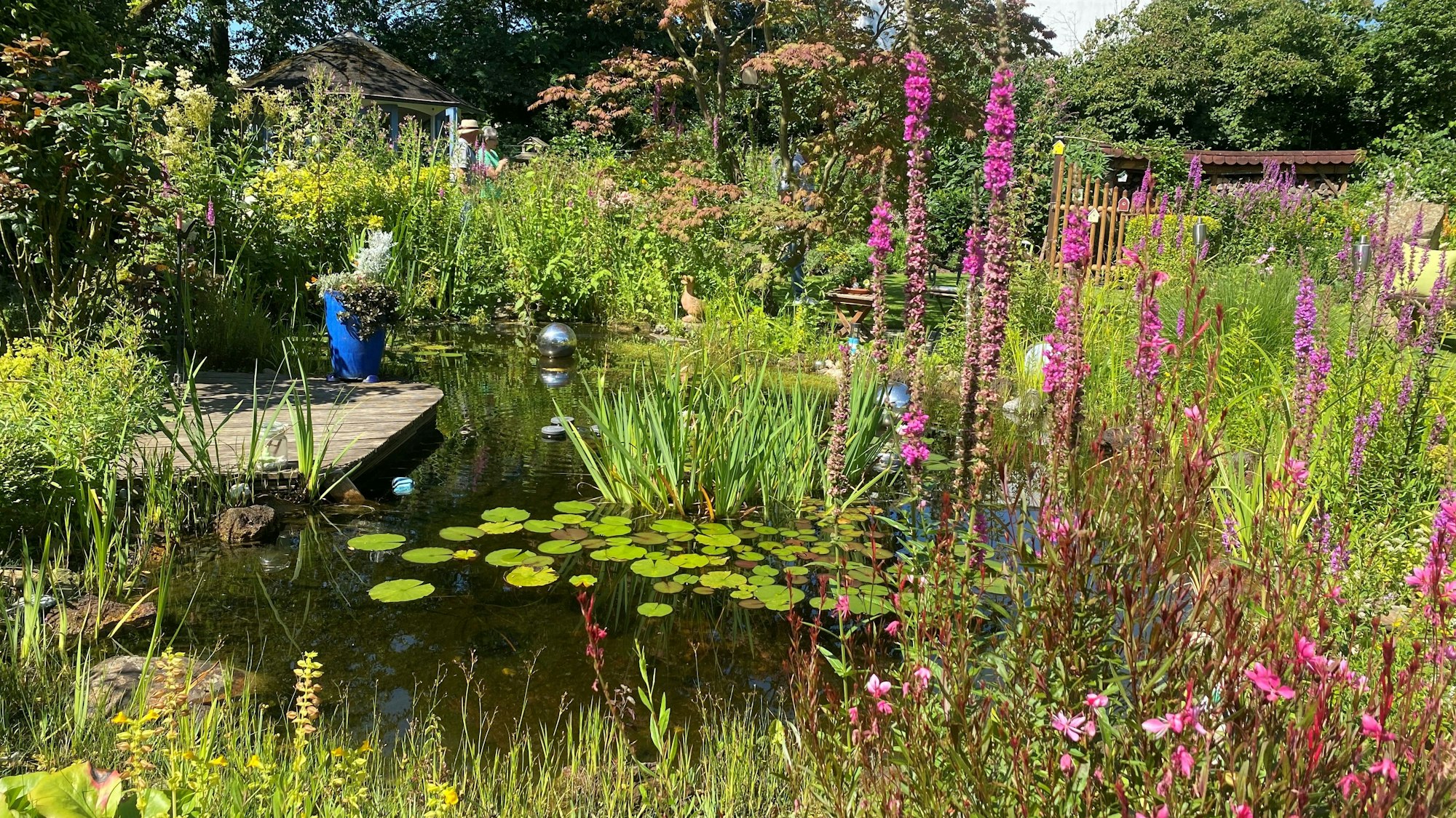 Ein Garten mit einem Teich im Sonnenlicht